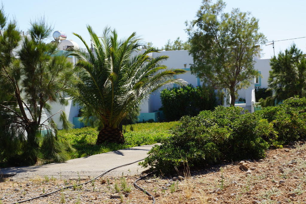 Notos Villas Frangocastelo Номер фото